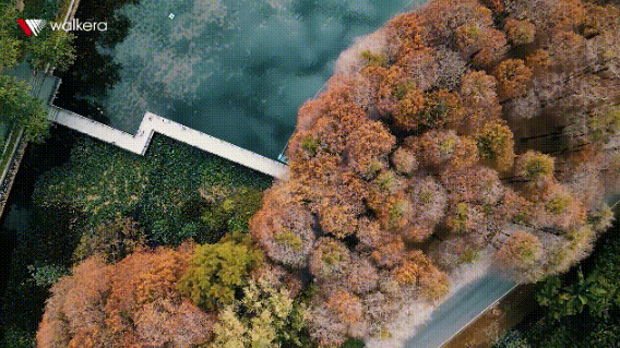 一鍵拍攝短片, 輕松玩轉(zhuǎn)